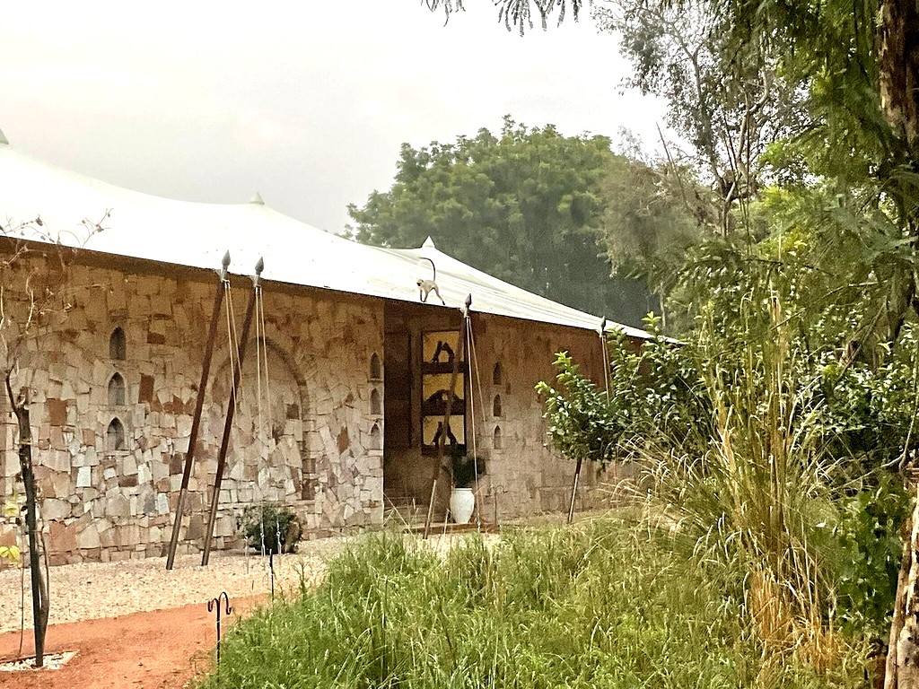 SUJÁN Sher Bagh